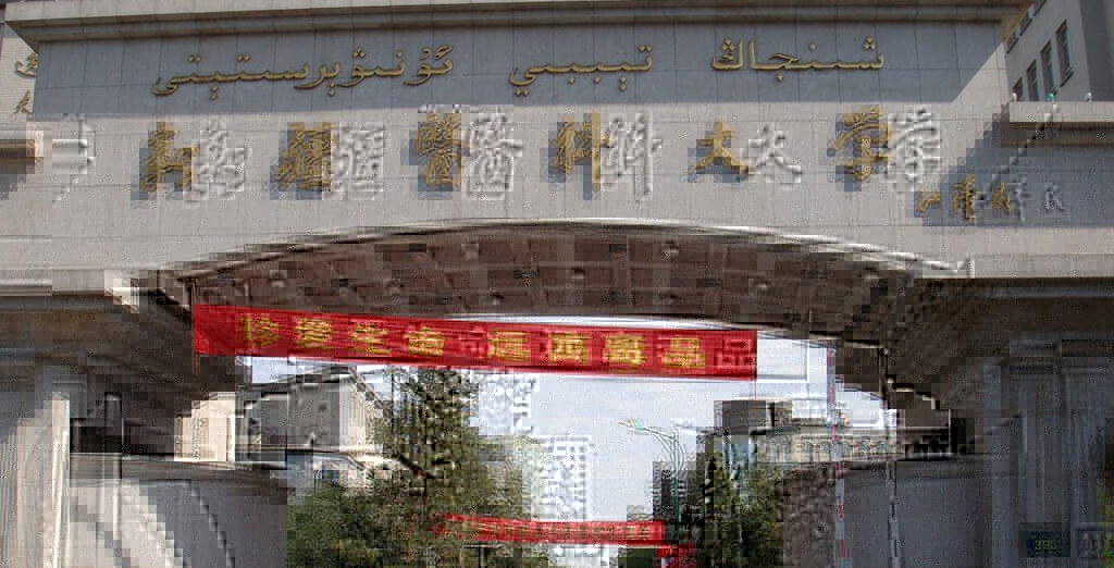 XINJIANG MEDICAL UNIVERSITY